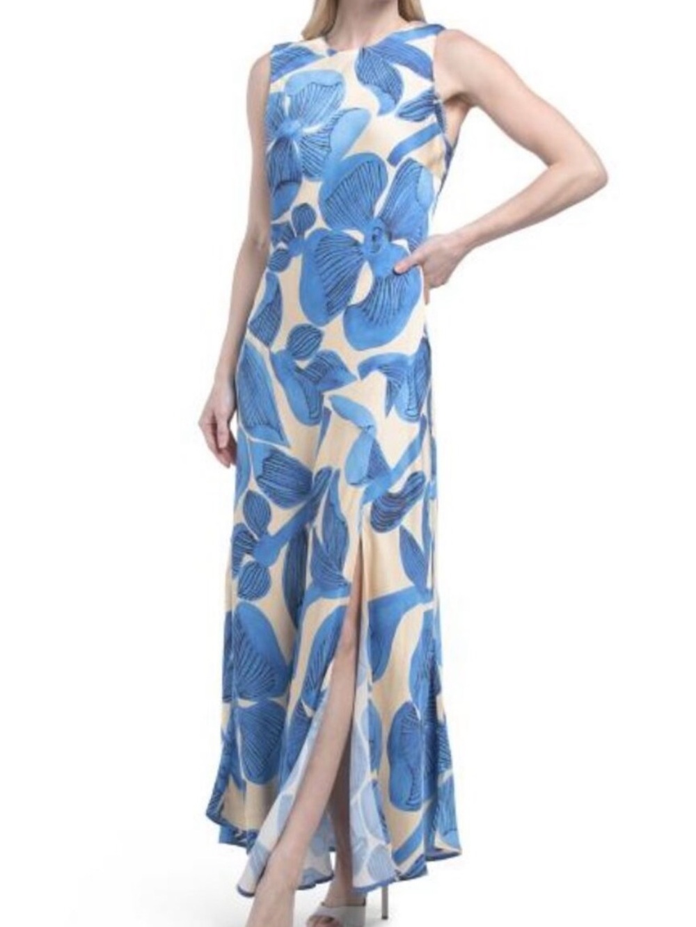 Corey Lynn Calter Blue Floral Print Maxi Dress L NWOT
